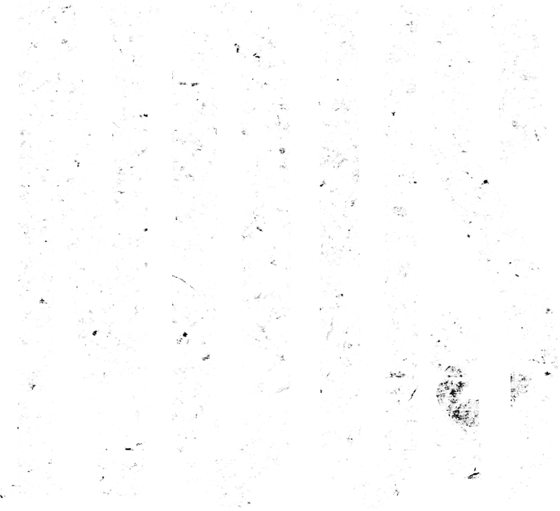 NOUS